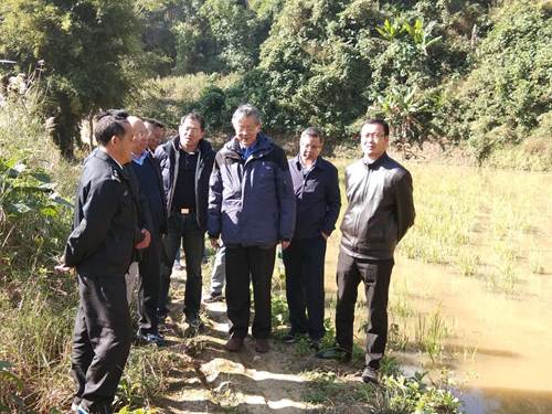 image004.jpg image004.jpg