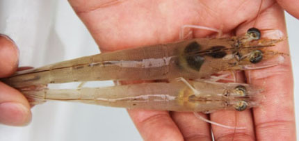 2014121602.jpg 2014121602.jpg