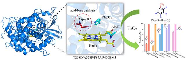 250122新聞稿圖形摘要_畫(huà)板 1
