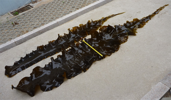 xpzxjs-19-1.jpg xpzxjs-19-1.jpg