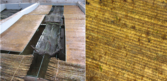 xpzxjs-18-1.jpg xpzxjs-18-1.jpg