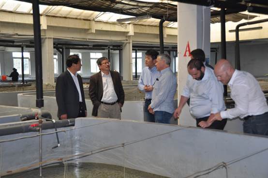 maertafanghhs4.jpg maertafanghhs4.jpg